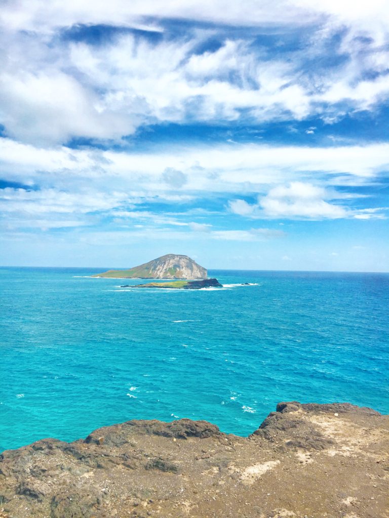 the beautiful O'ahu coast 