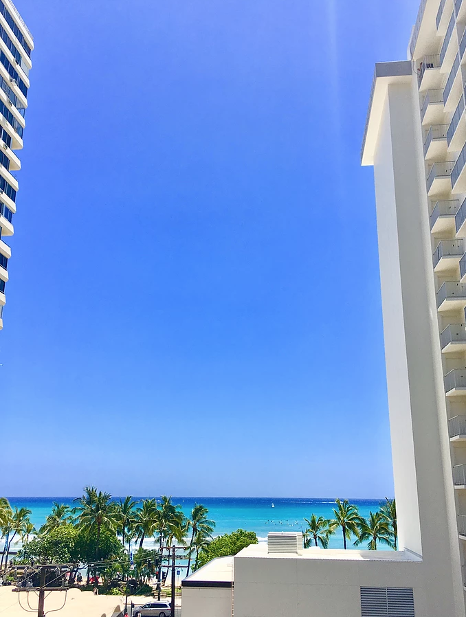 the view from the hotel's infinity pool