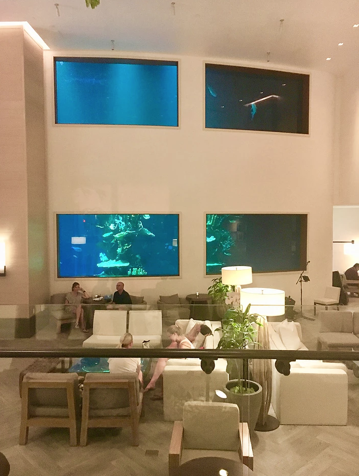 the hotel had an aquarium in their lobby