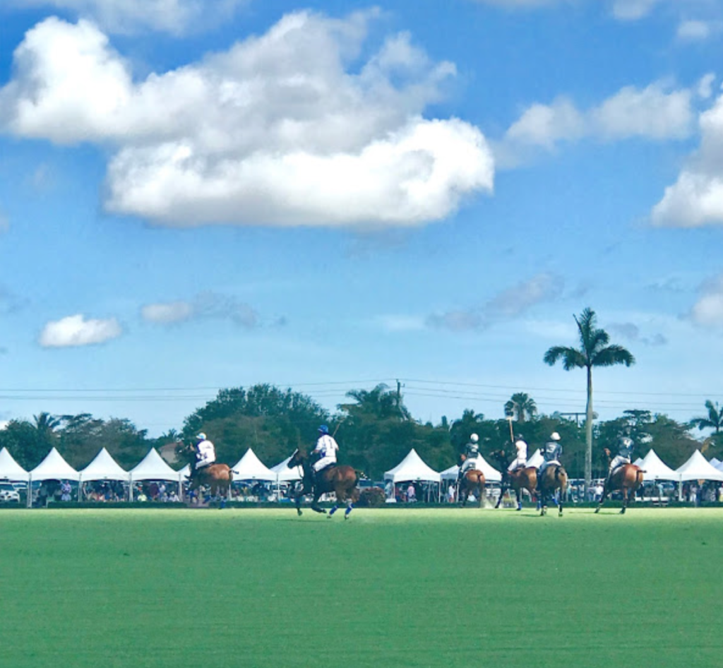 the polo match
