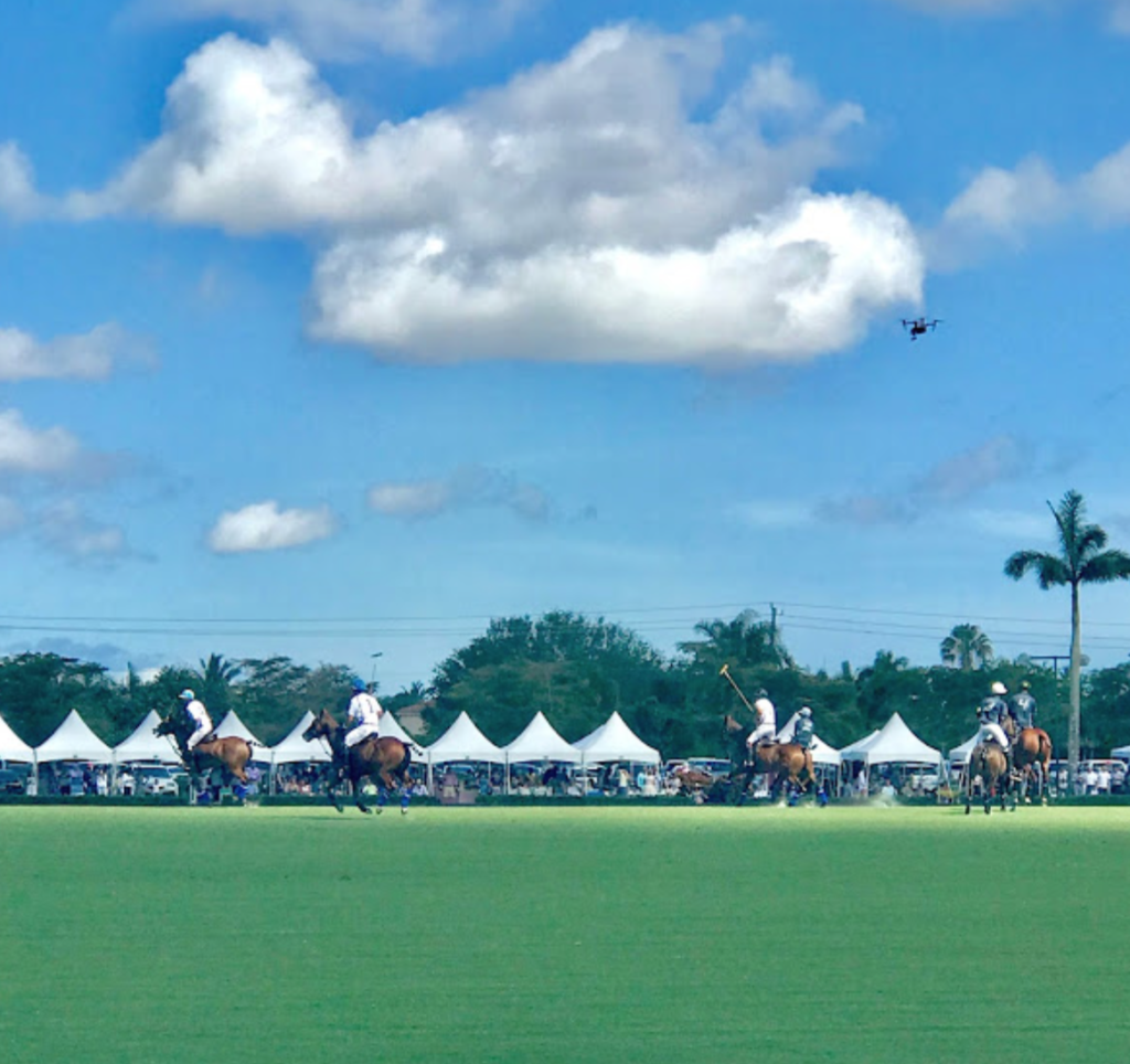 the polo match