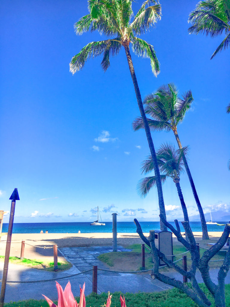 the beachwalk from the Kaanapali Alii Resort