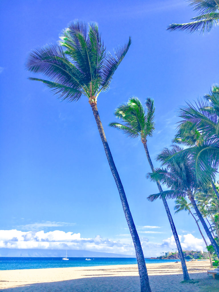 the beach from Kaanapali Alii Resort