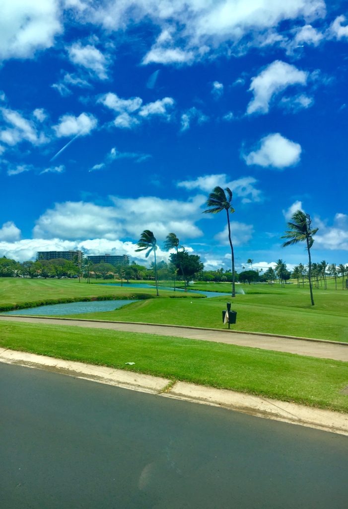 golf course at Kaanapali Alii Resort