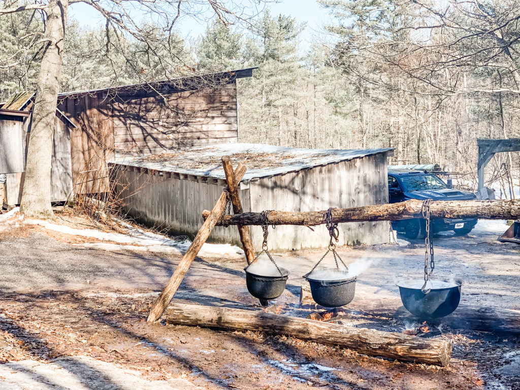 outside fire at Merrifield Farm on Maine Maple Sunday