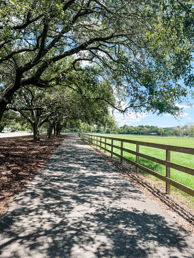 We went biking on Kiawah Island after our wedding. A "pre-honeymoon" little trip. 