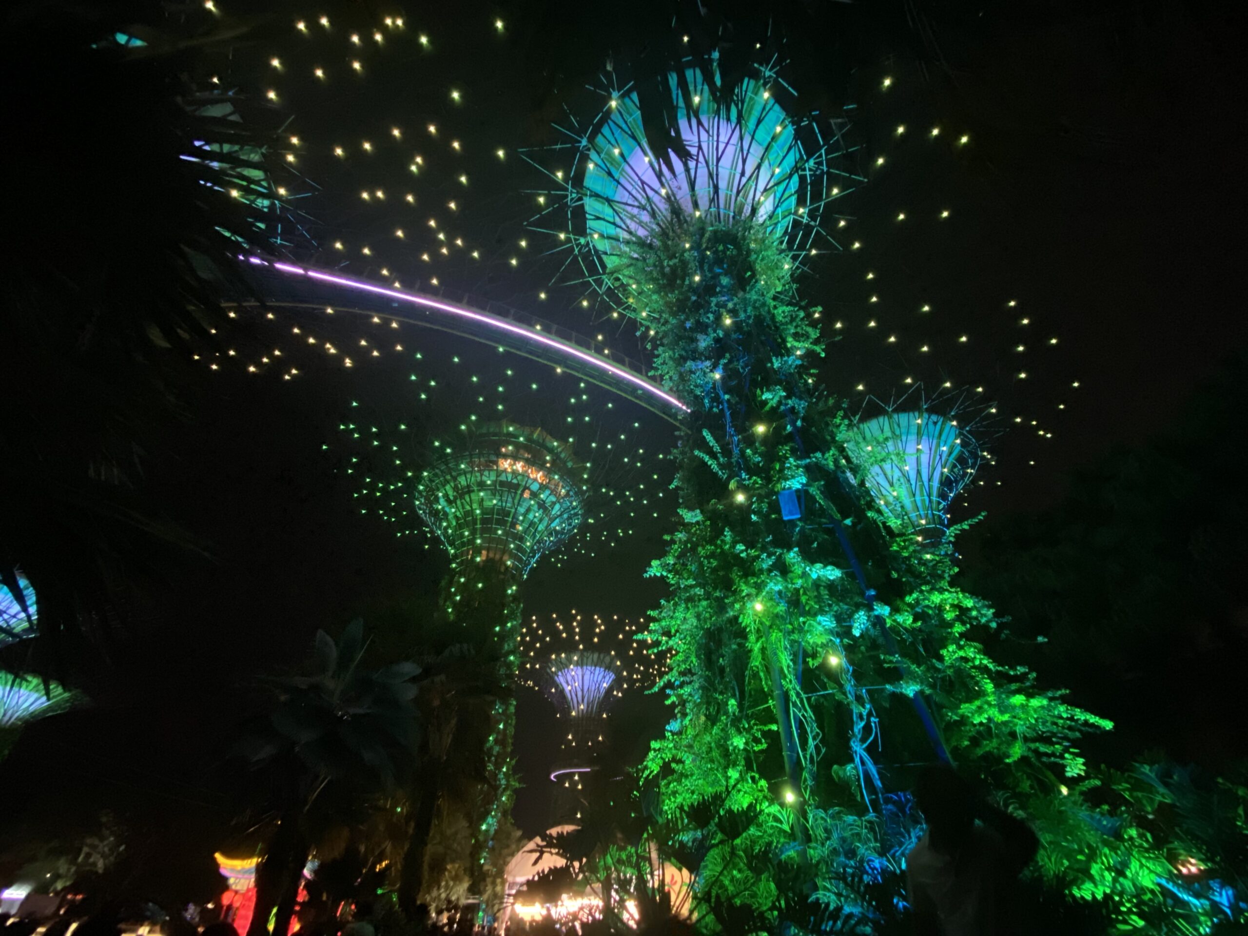 Light show at the Gardens by the Bay outside of the Marina Bay Sands Hotel in Singapore